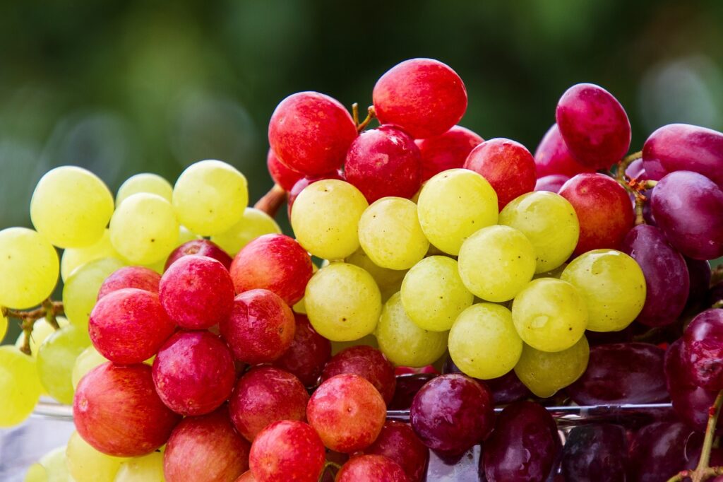 grapes, fruit, cluster, grape, fresh fruits, fresh, fresh grapes, harvest, products, bio, ripe, ripe grapes, cute, food, healthy, vitamins, grapes, grapes, fruit, fruit, fruit, fruit, fruit