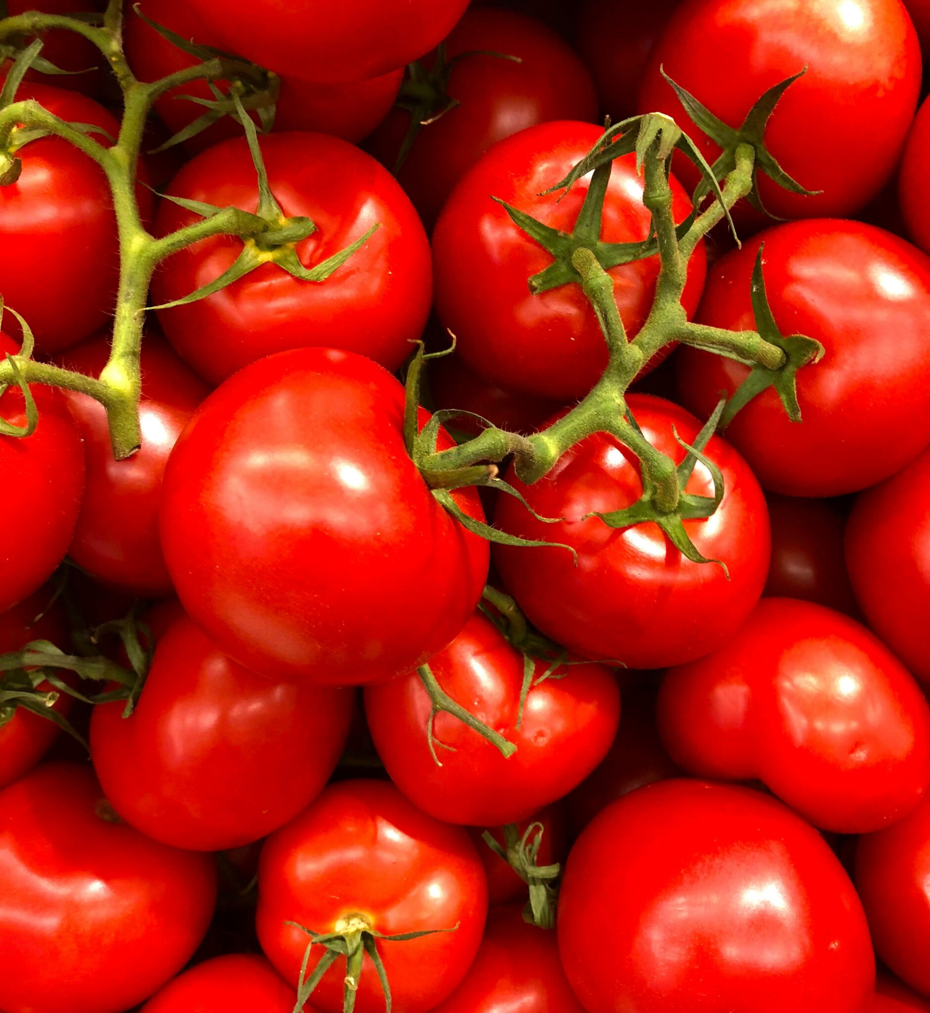 Vibrant close-up of fresh cherry tomatoes, showcasing their juiciness and bright red color.