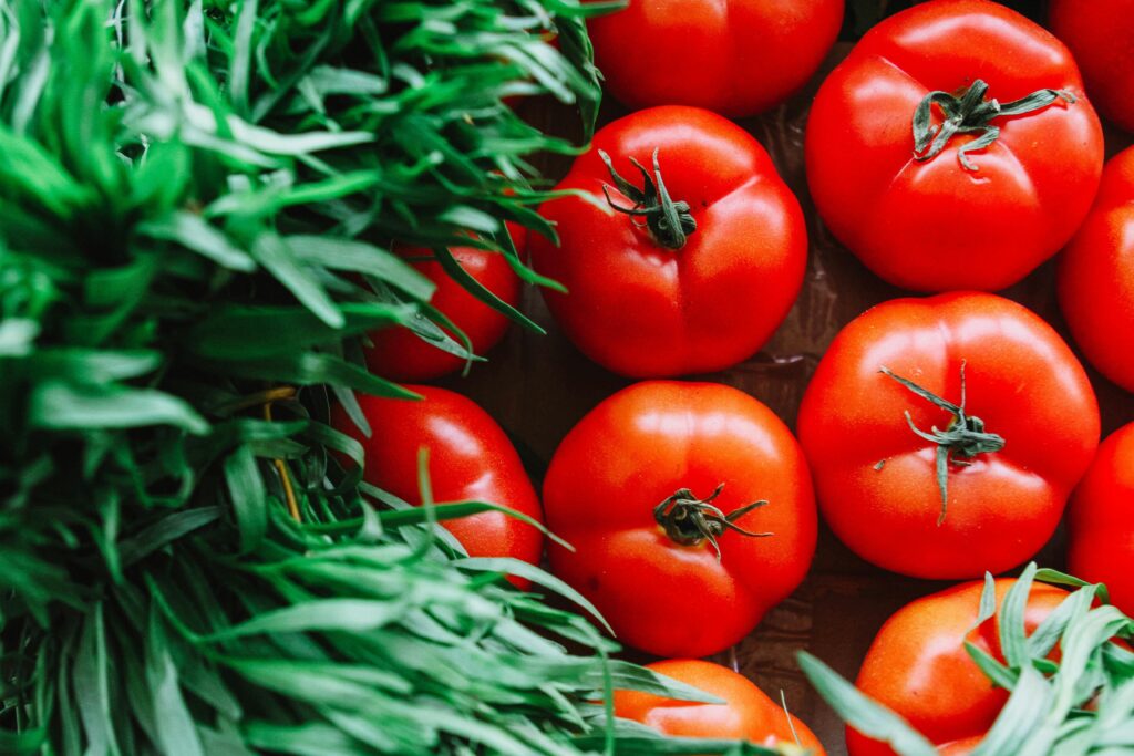 Close-up of fresh, juicy tomatoes surrounded by vibrant green plants.