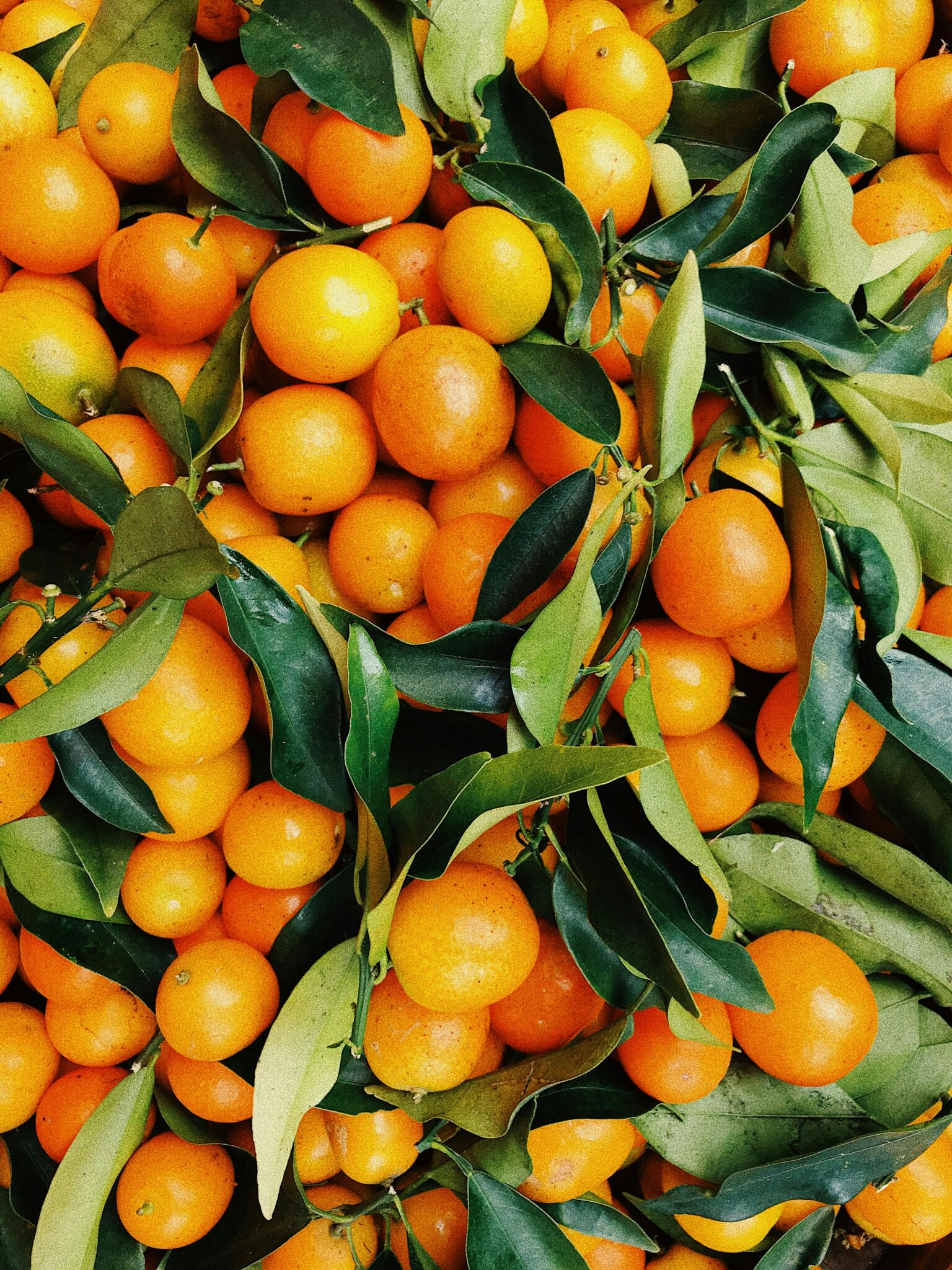 A vibrant pile of fresh tangerines with green leaves, showcasing natural freshness and vivid colors.