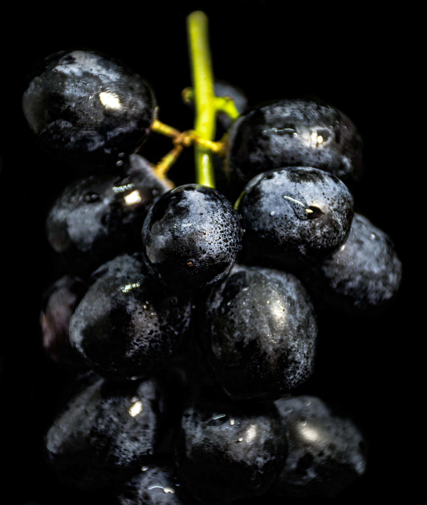 Close-up of fresh, wet black grapes with a vibrant glow against a black background.