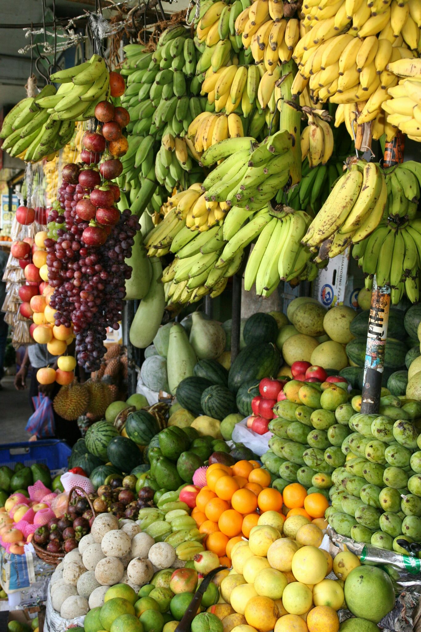 Vibrant arrangement of fresh tropical fruits at a local market, showcasing bananas, melons, and more.