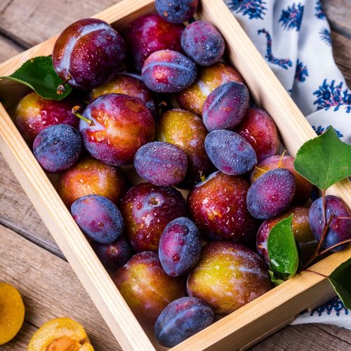 plums, box, apricots, fruits, fruit box, fresh, ripe, harvest, produce, organic, fresh produce, fruit, vitamins, food, food photography, plums, fruits, fruits, fruits, fruit, fruit, fruit, fruit, fruit, food