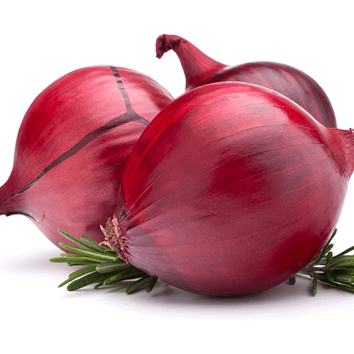 onion-1